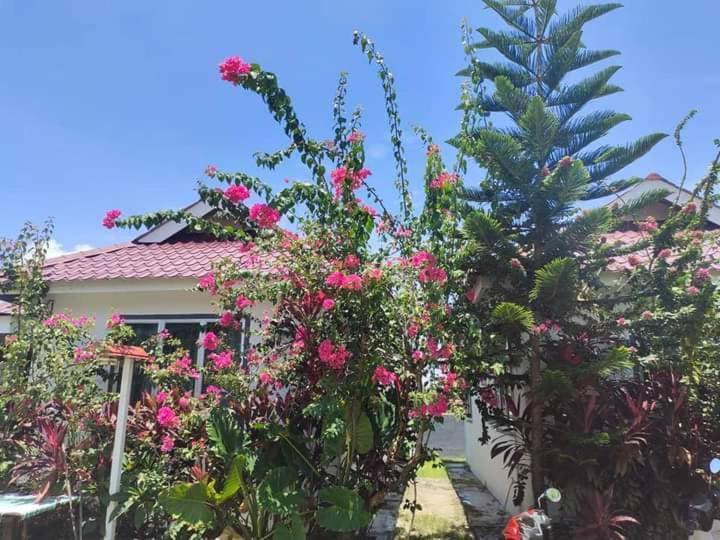 Langkawi Homestay Bunga Padi Kuah Eksteriør bilde